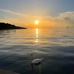 Sun & Koper