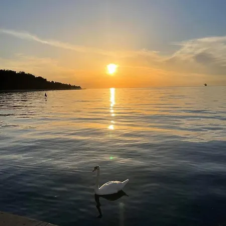 Sun & Koper